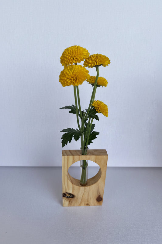 Solitario Nido